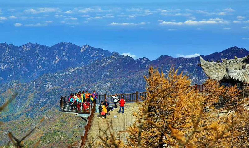 旅行/旅游团建目的地 太白山国家森林公园